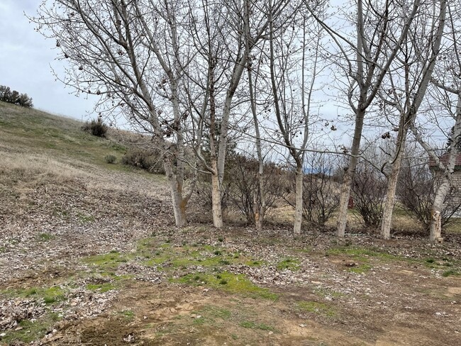 Photo - 3 Bed 2 Bath Home on Property Available for Lease