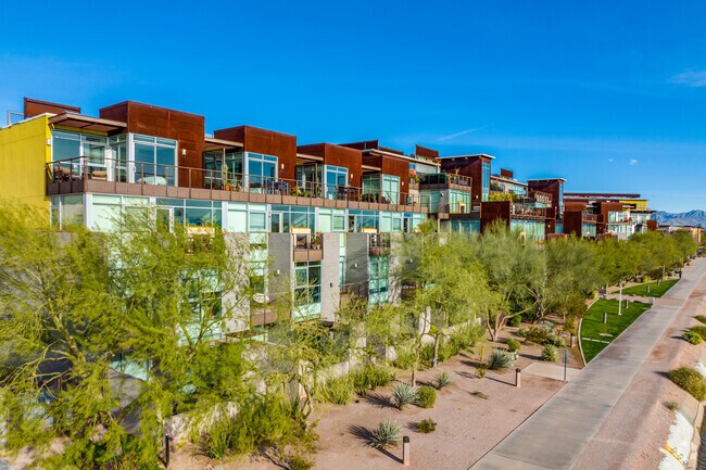 Photo - Safari Drive