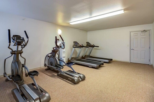 Gimnasio