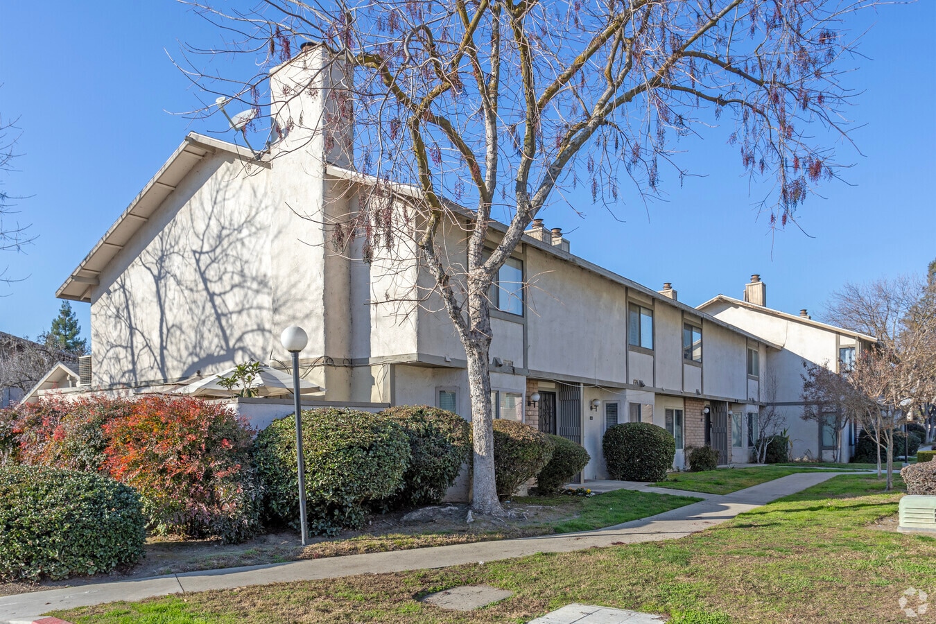 Photo - Woodside Park