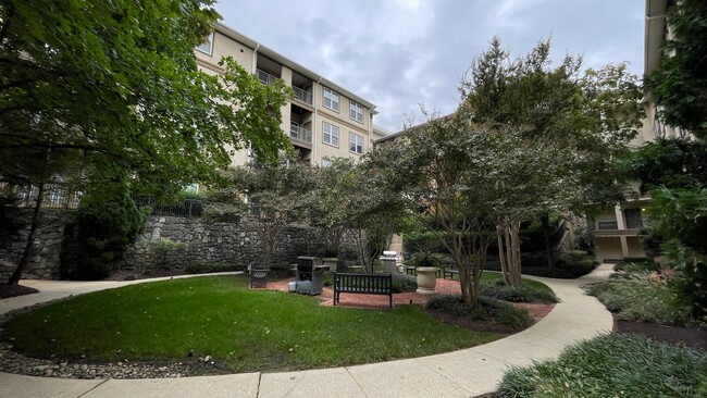 Lavish 1 BR/ 1 BA Condo in Bethesda! - Lavish 1 BR/ 1 BA Condo in Bethesda!