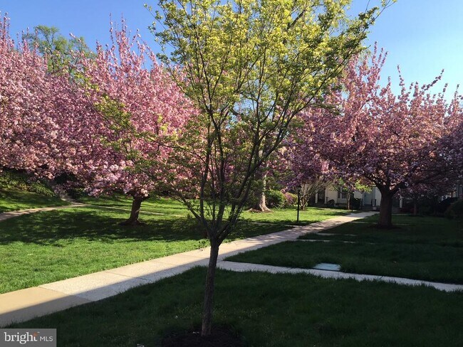 Building Photo - 4920 Bradley Blvd