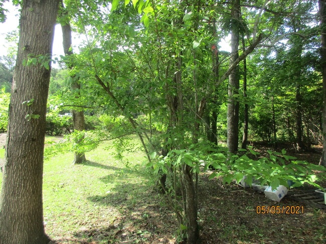 Photo - 633 Oakhurst Dr