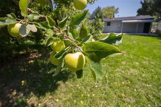 Photo - 7351 Decatur St