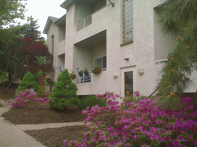 Selma Estate Apartments