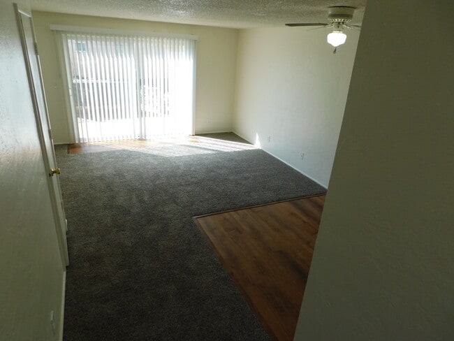 Photo - Cedar Meadow