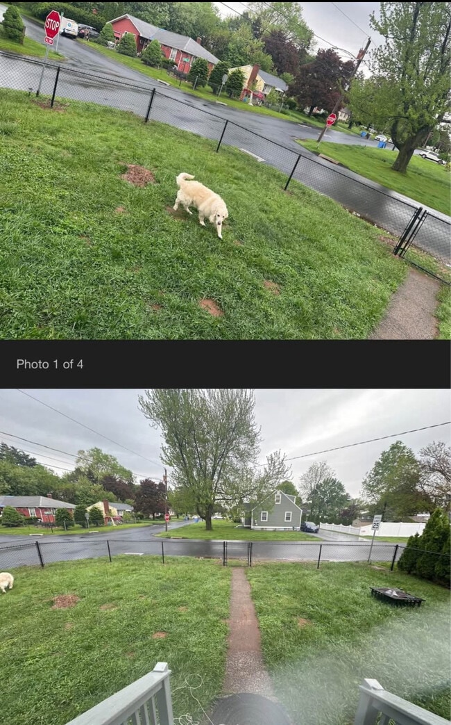 Photo - 150 Judd Ave