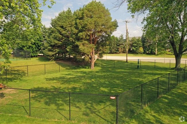 Dog Park
