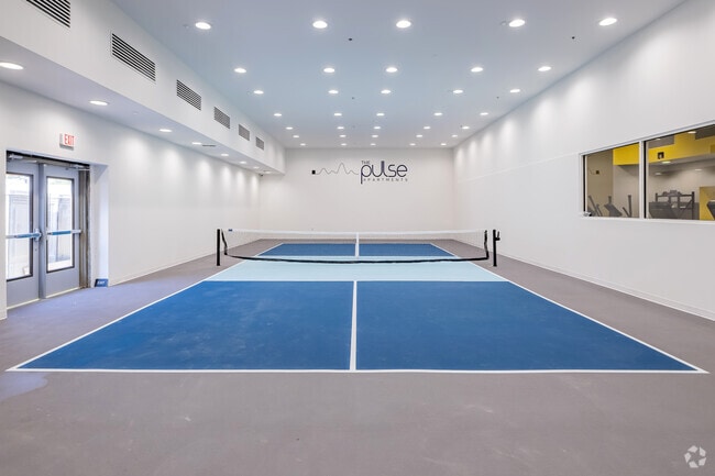 Pickleball Court