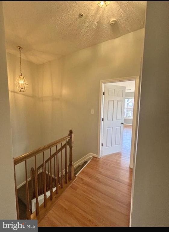 Photo - 325 Bald Eagle Way