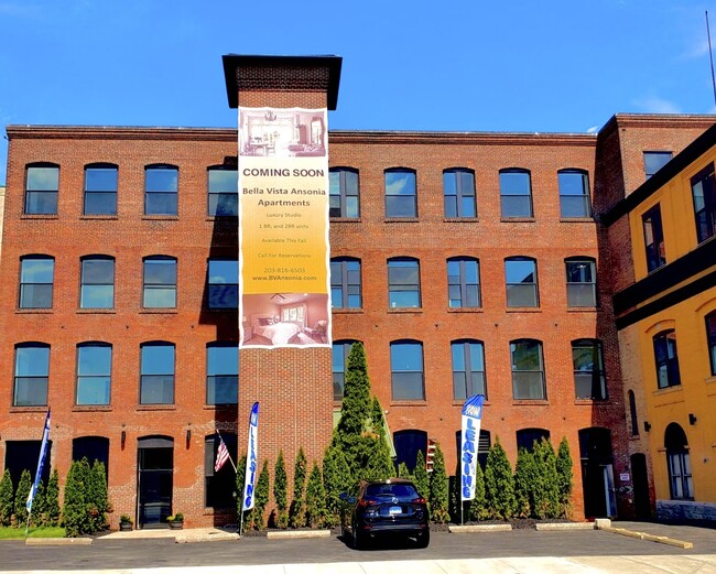 Photo - Bella Vista Ansonia Apartments