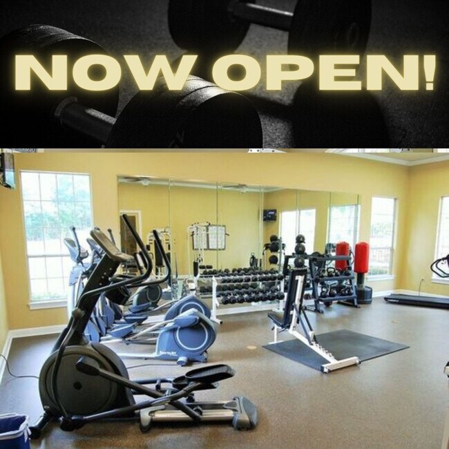 Ashborough Apartments For Rent in Raleigh, NC