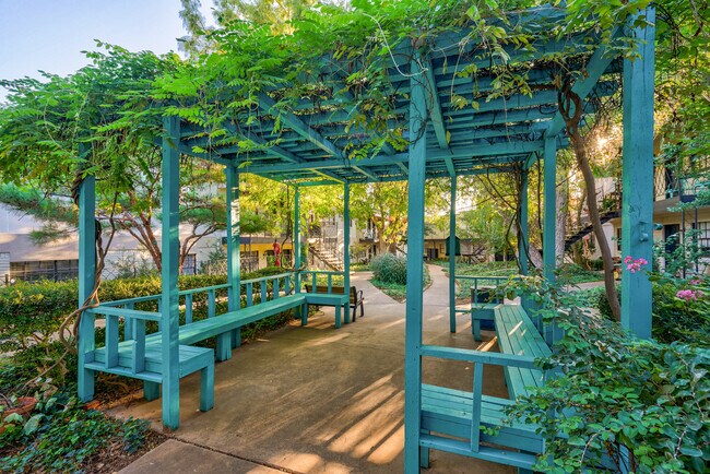 Oasis Apartments at Paseo