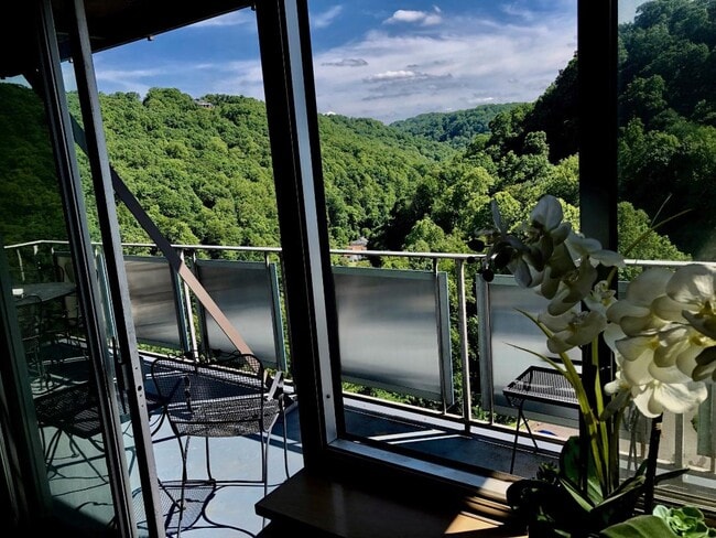 #1205 mountainview - 1800 Roundhill Rd Unit 1206