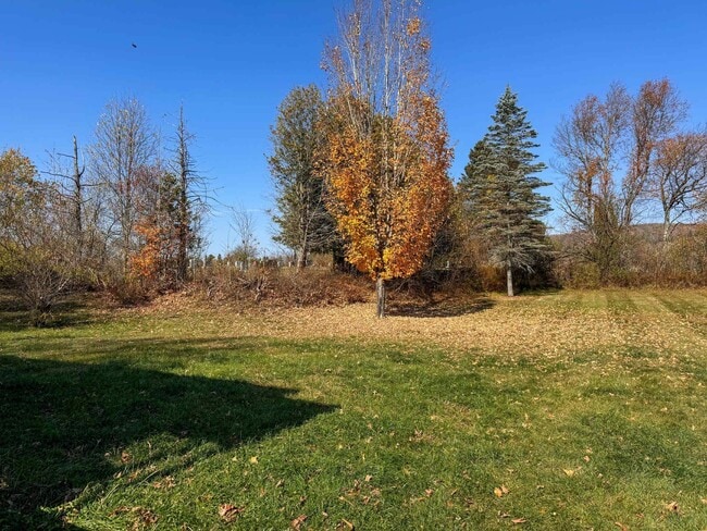 Photo - 41 Couture St