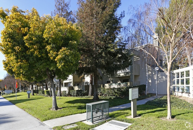 Evergreen Heights