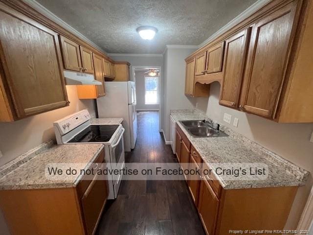 Photo - 4403 Bishamon St