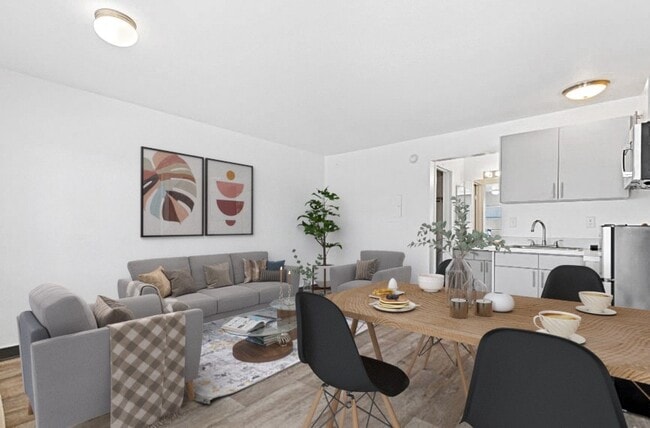 Photo - Spectra Paradise