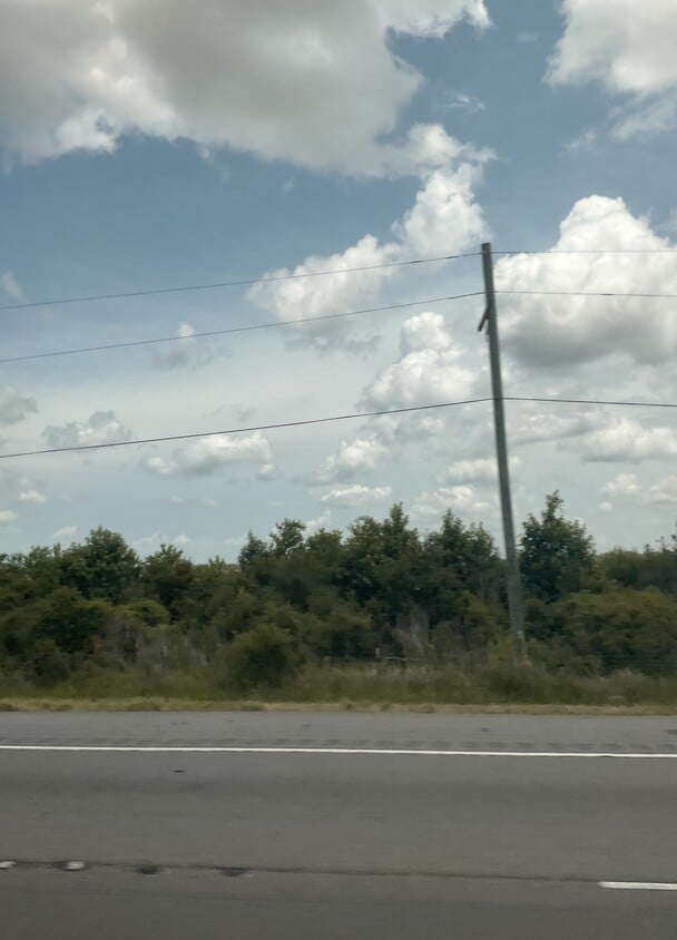 Photo - 14911 Forest Grove (78)