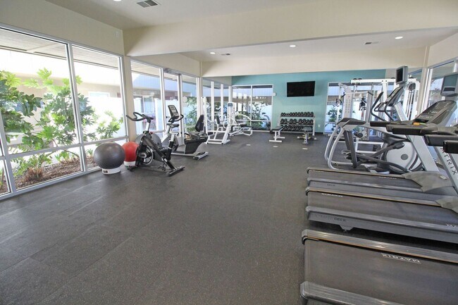 Photo - University Court