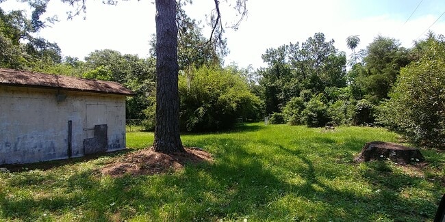 Photo - 2BR/1BA Trout River Home on 1 Acre