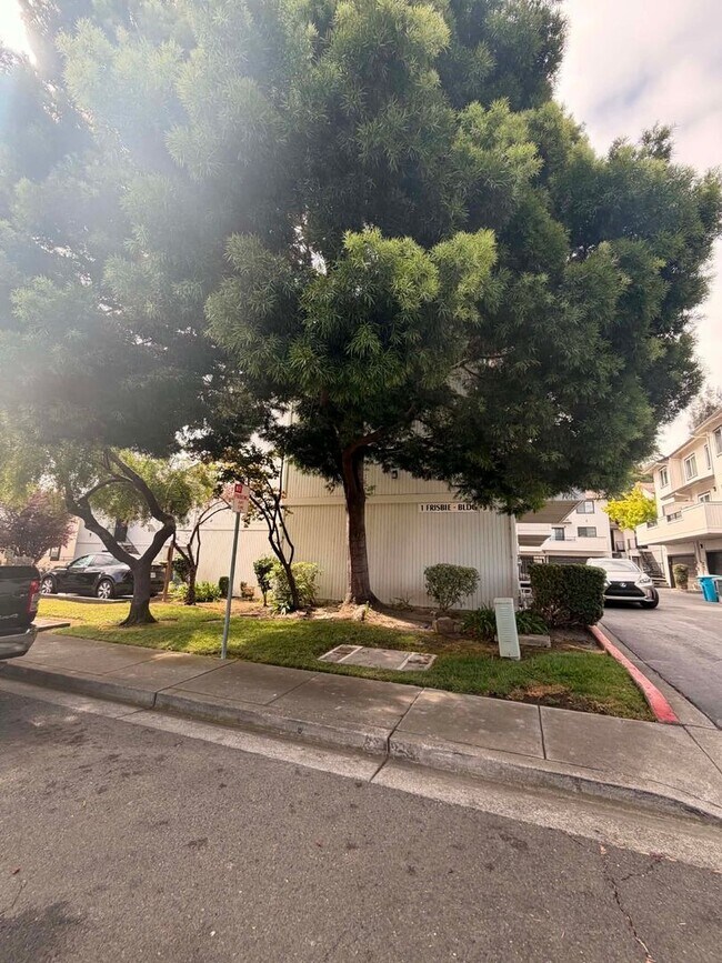 Photo - 1 Frisbie St