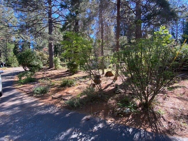 Photo - 10959 Alta Sierra Dr