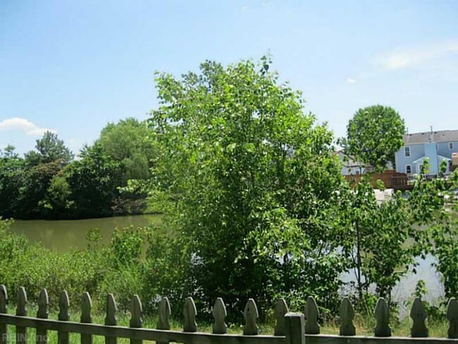 Photo - Rosemont Forest
