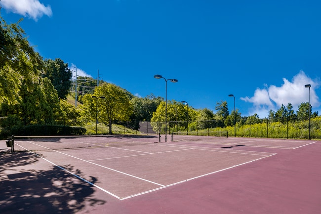 Juego, set y partido: disfruta del tenis desde casa.
