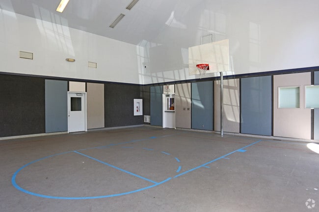 Basketball Court