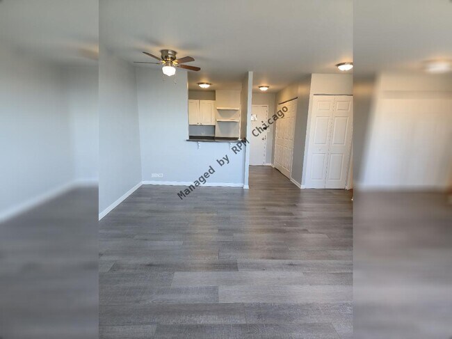 Photo - 1455 N Sandburg Terrace Unidad 2007