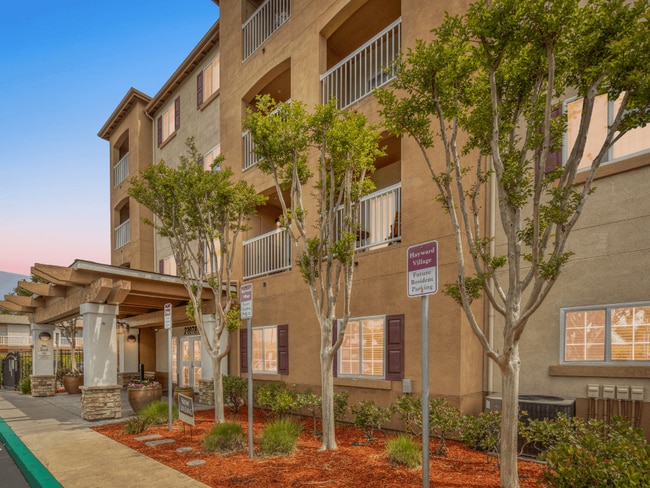 Photo - Hayward Village Senior Apartments