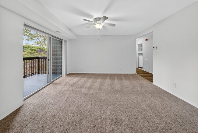 Photo - The Forest Apartments