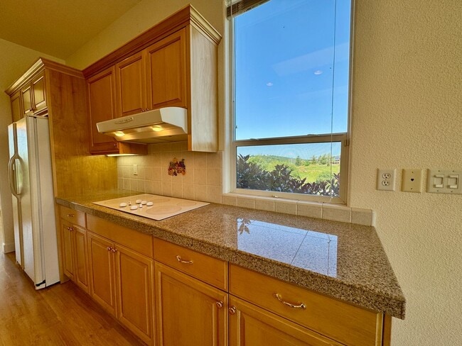 Photo - Custom Home With Gorgeous Views Available Now In Pilot Hill!