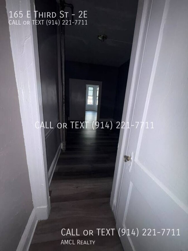 165 E 3rd St Unit 2E