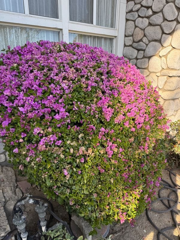 Photo - 17249 Flanders St