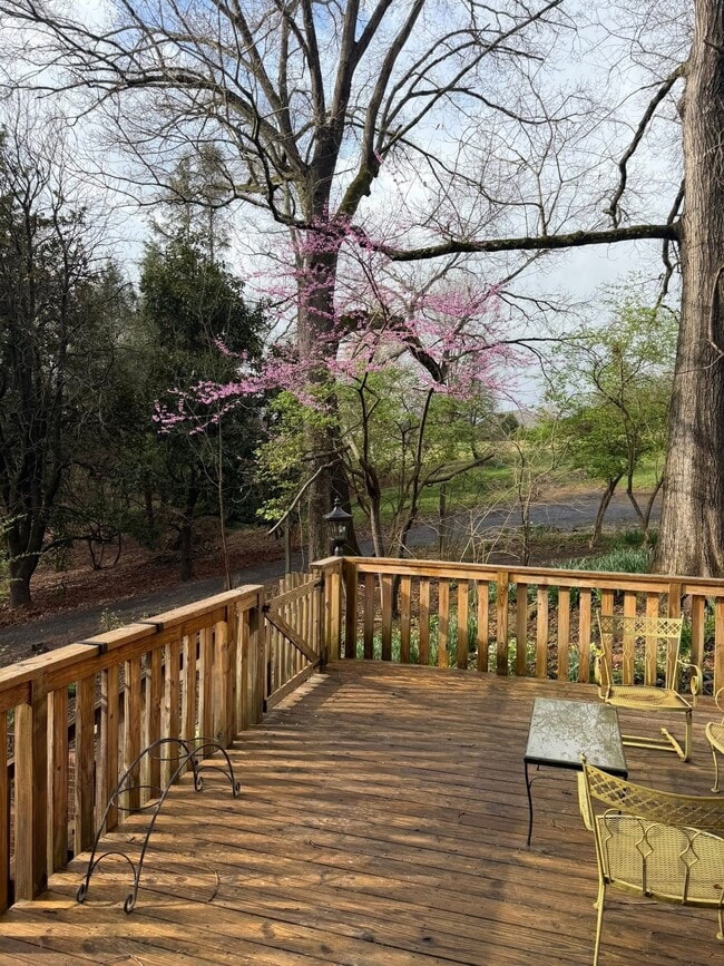 Deck for relaxing - 1565 S Peace Haven Rd