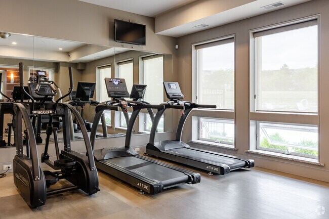 Gimnasio