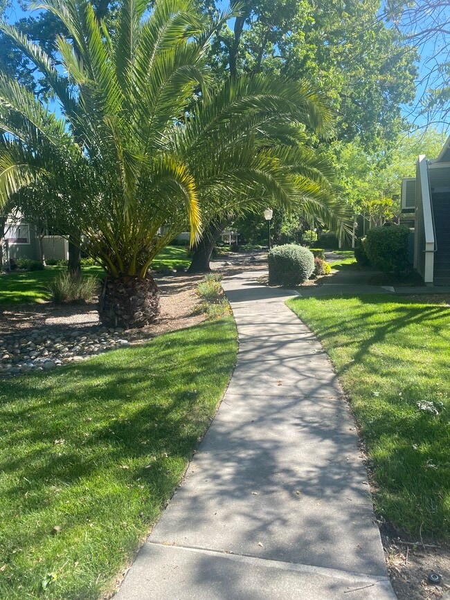 Photo - 184 W Agua Caliente Rd Unit 184