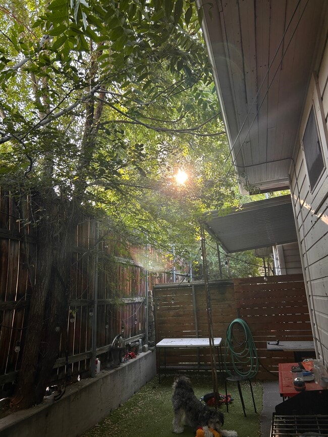 Photo - 709 E 600 S House