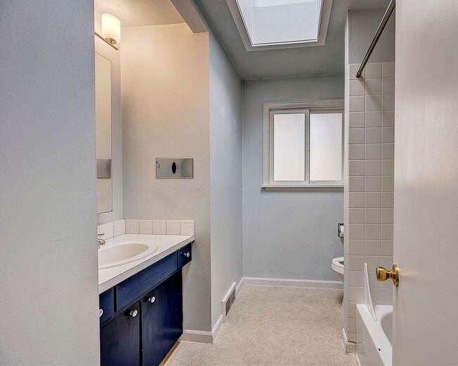 Photo - Maple Leaf Rambler