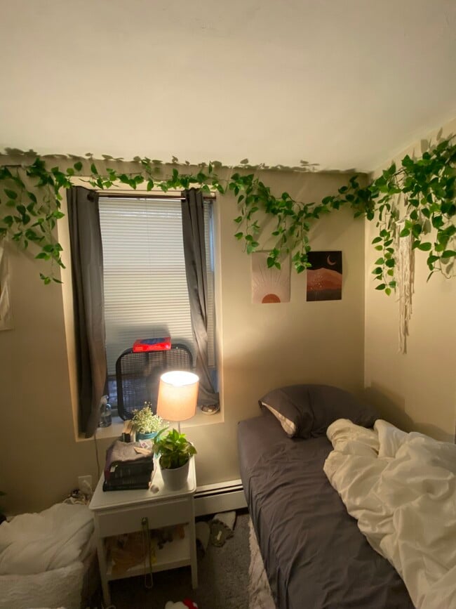 Photo - 50 Saint Stephen St