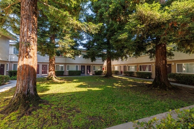 Whitman Villa Townhomes