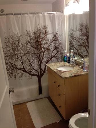 Full Bathroom - 156 Green St Unit 305