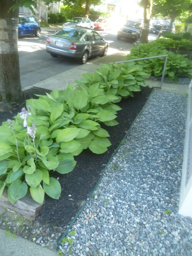 Photo - 56 Hobson St Unit 2