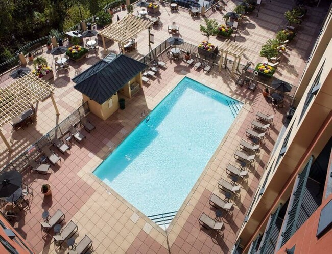 pool-ariel-view-2