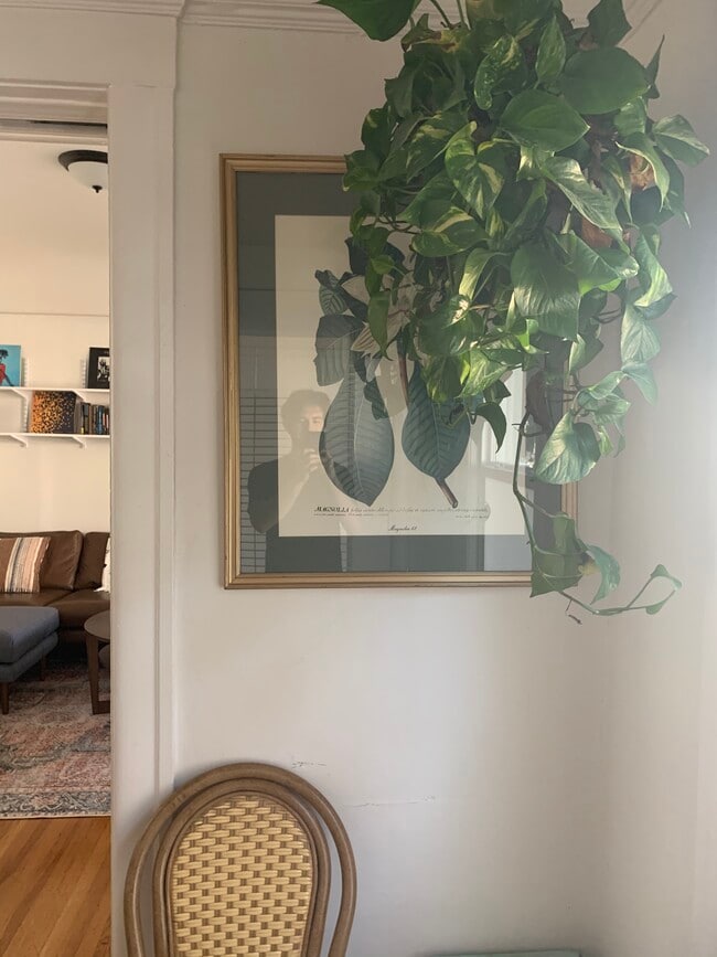 Photo - 4604 Lexington Ave Unidad 4600