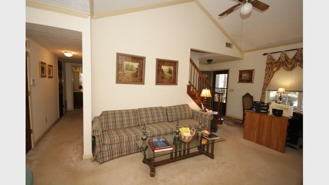 Photo - Anaberry Forest