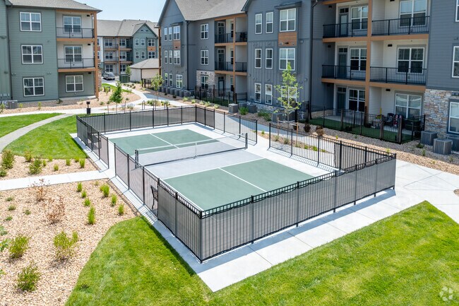 Pickleball Court - Notch66