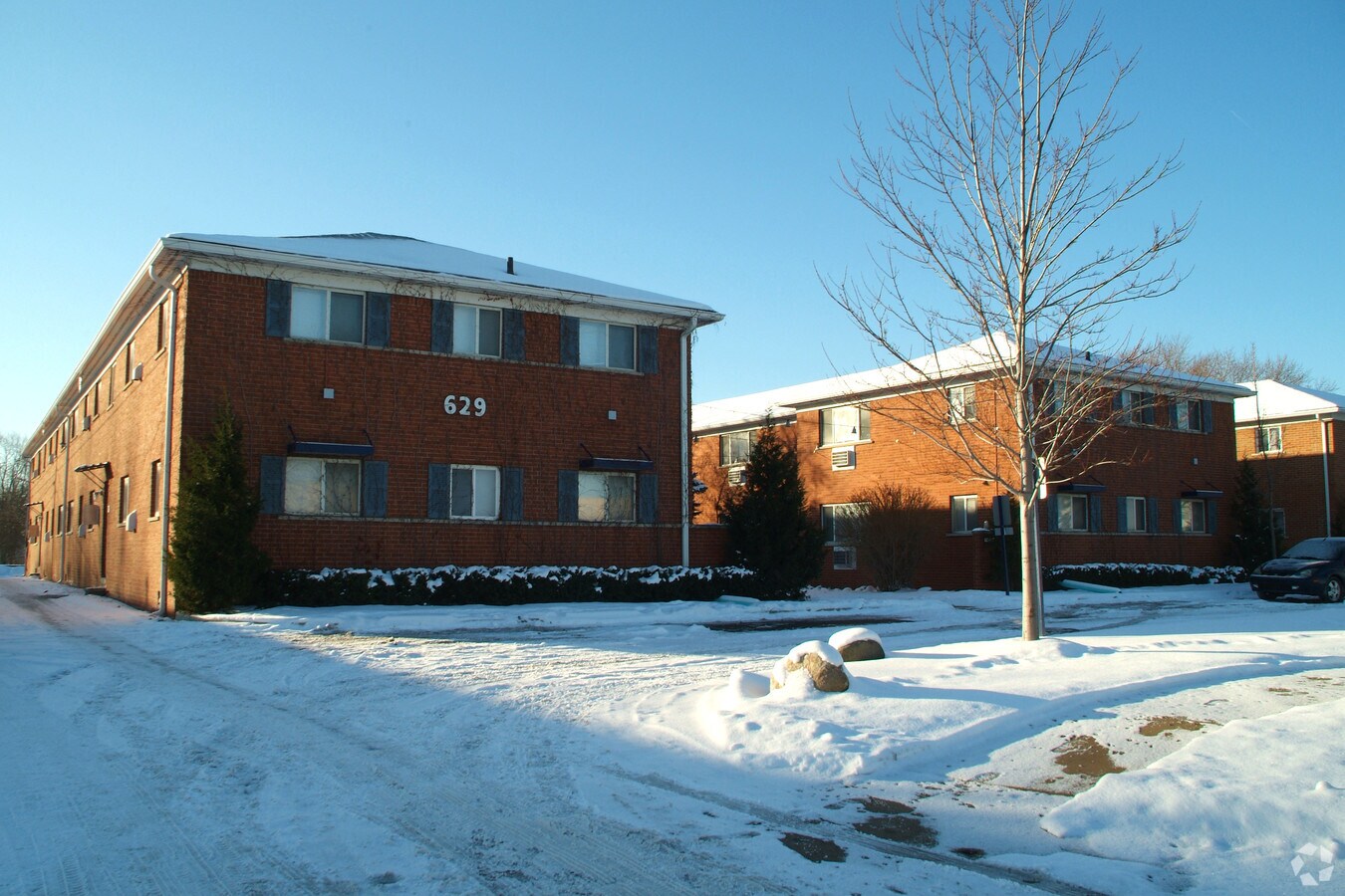 Z on Maple - Z on Maple Apartments